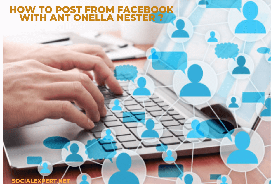 facebook cover size 2022 - antonella nester facebook- facebook header size