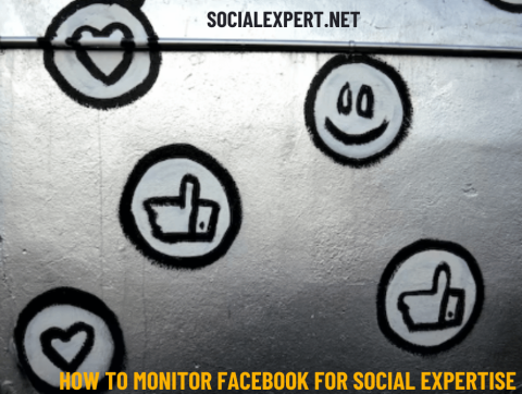 Social Expert, The Social Expert, Facebook Monitoring